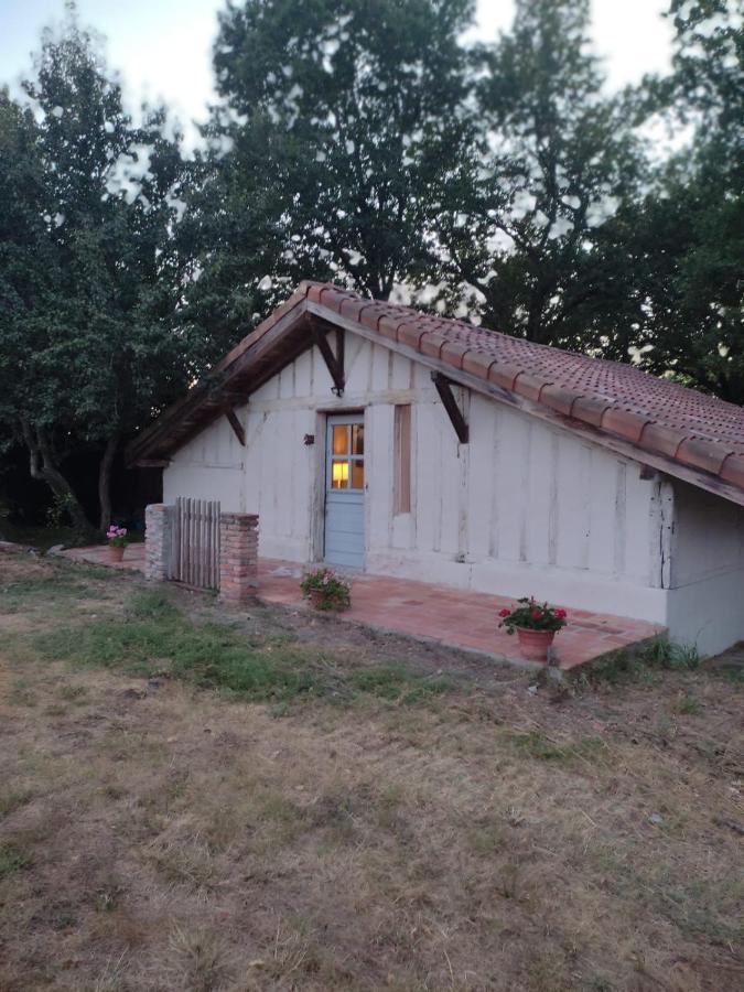 Maisonnette Vue Sur Foret Campagne  Exterior photo